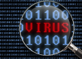 Viruses: What Are They And How To Detect Them