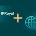 IPRoyal Proxy Service: Your New Best Friend on the Internet